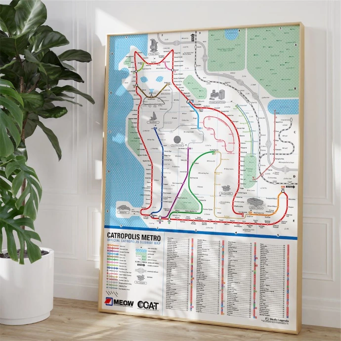 Een metrokaart in een lijst