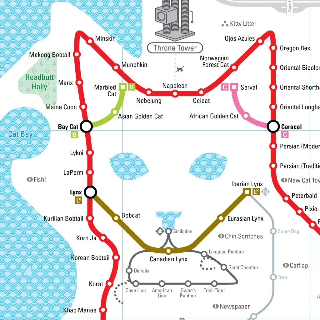 catropolis_detail_01-sqd.webp